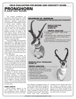 ProngHorn - Boone and Crockett Club