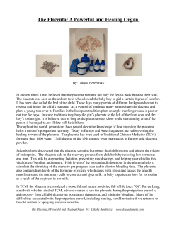 The Placenta: A Powerful and Healing Organ
