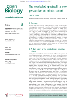 The overlooked greatwall: a new perspective on mitotic control