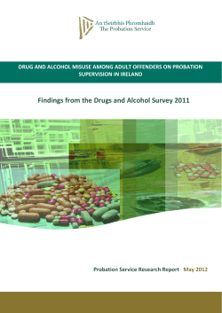 Probation Drug Alcohol Survey