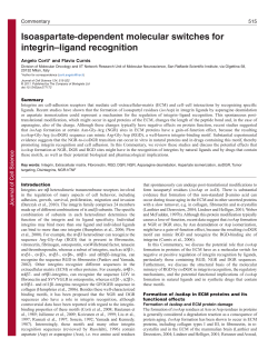 Isoaspartate-dependent molecular switches for integrin&ndash;ligand