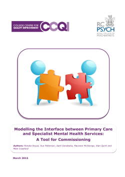 Modelling the Interface between Primary Care and Specialist Mental