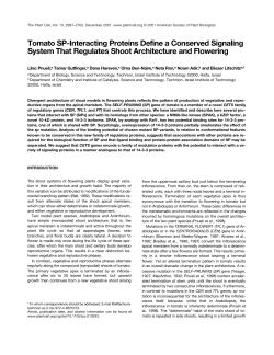 Tomato SP-Interacting Proteins Define a Conserved