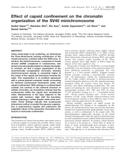 Effect of capsid confinement on the chromatin organization of the