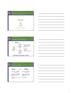 Genetics and Reproduction Meiosis
