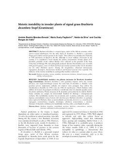 Meiotic instability in invader plants of signal grass Brachiaria