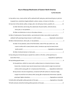 Alan Bessette`s Key to Waxcap Mushrooms of Eastern North America