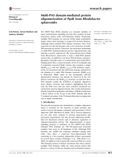 Multi-PAS domain-mediated protein oligomerization of PpsR from