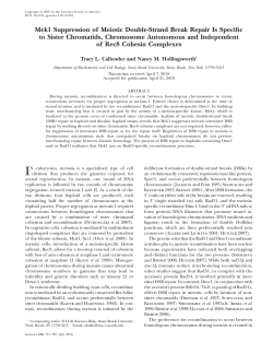 Mek1 Suppression of Meiotic Double