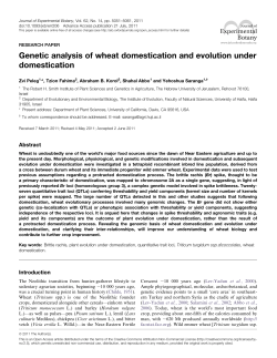 Genetic analysis of wheat domestication and evolution under