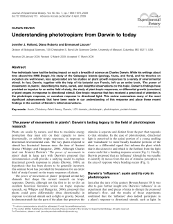 Understanding phototropism: from Darwin to today