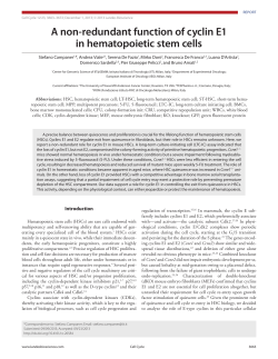 A non-redundant function of cyclin E1 in hematopoietic stem cells