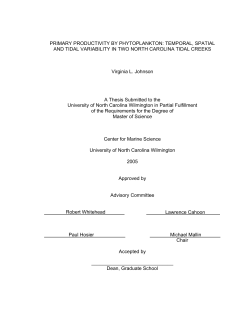 Primary productivity by phytoplankton : temporal