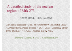 A detailed study of the nuclear region of Mrk 273