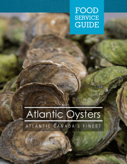 SERVICE GUIDE - bestofsea.com