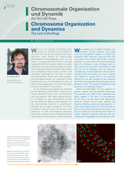 Chromosomale Organisation und Dynamik Chromosome