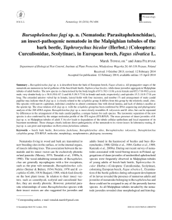 (Nematoda: Parasitaphelenchidae), an insect pathogenic nematode in