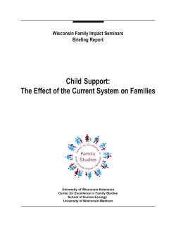 Child Support: The Effect of the Current System on Families