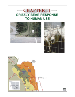 grizzly bear response to human use
