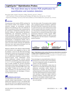 Hybridization Probes