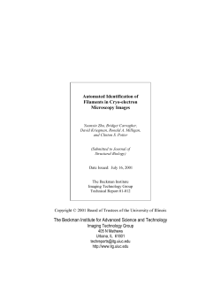 Automated Identification of Filaments in Cryo