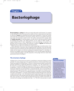 Bacteriophage - Blackwell Publishing