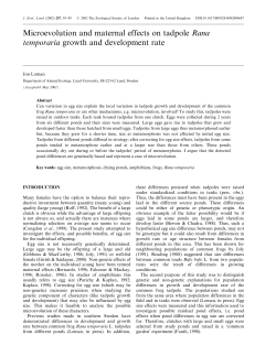 Microevolution and maternal effects on tadpole Rana temporaria