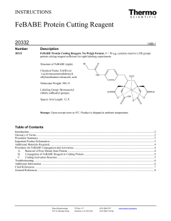 FeBABE Protein Cutting Reagent
