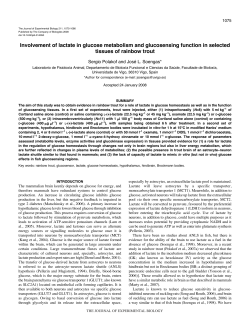 Involvement of lactate in glucose metabolism and glucosensing