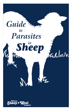 Guide Parasites - Alberta Lamb Producers