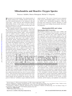 Mitochondria and Reactive Oxygen Species
