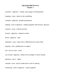 Call of the Wild Glossary 2013