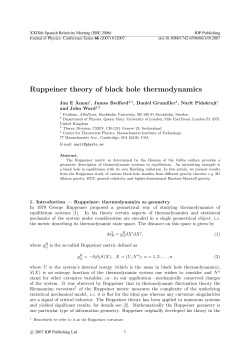 Ruppeiner theory of black hole thermodynamics