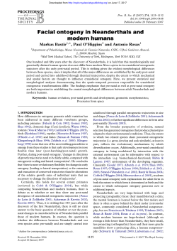Facial ontogeny in Neanderthals and modern humans