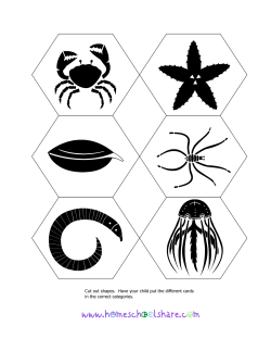 Invertebrate classification cards (2).pub (Read