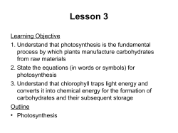 plant nutrition