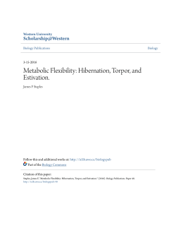 Metabolic Flexibility: Hibernation, Torpor, and Estivation.