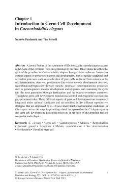 Introduction to Germ Cell Development in Caenorhabditis elegans