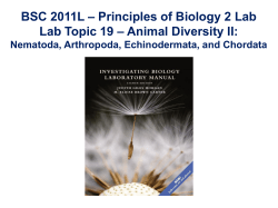 BSC 2011L Lab Topic 19 - MDC Faculty Web Pages