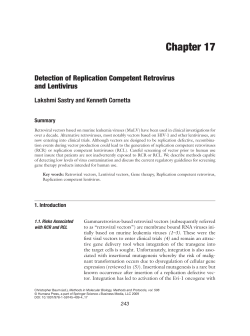 Detection of Replication Competent Retrovirus