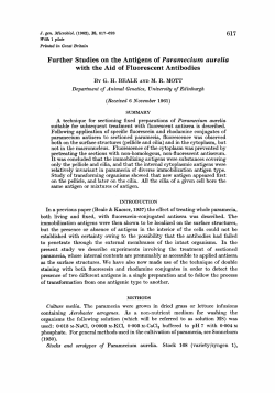 Further Studies on the Antigens of Paramecium aurelia with the Aid