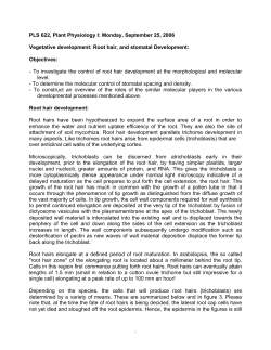 Lecture Notes (PDF format)