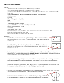 How to Make a Hydraulic Butterfly