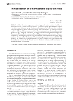 Immobilization of a thermostable alpha-amylase