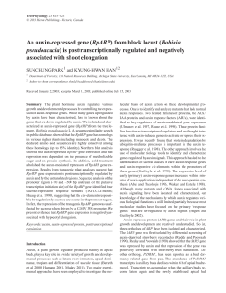 An auxin-repressed gene (RpARP) from black locust (Robinia