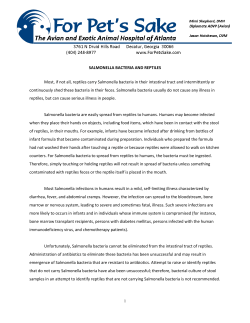SALMONELLA BACTERIA AND REPTILES Most, if not all, reptiles
