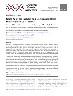 Small N of the Isolated and Unmanaged Horse Population on Sable