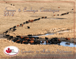 Genetic Value bulls - Bouchard Livestock
