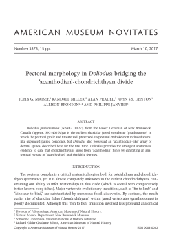 american museum novitates - AMNH Library Digital Repository