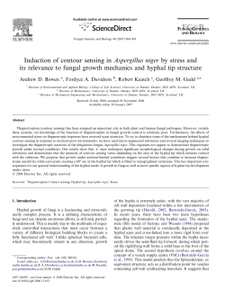 Induction of contour sensing in Aspergillus niger by stress and its